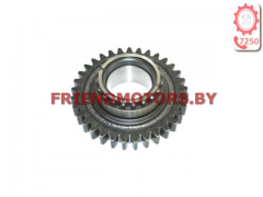 Шестерня МТЗ-1221 Z=33 1221-1701054