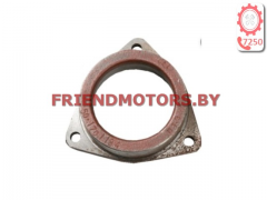 ГНЕЗДО 50-1701184